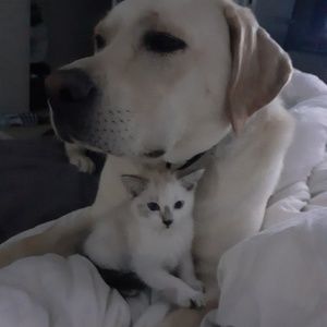 Meet your Posher, Nancy